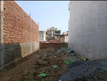 Plot For Resale in Sector 2 Faridabad  6907448