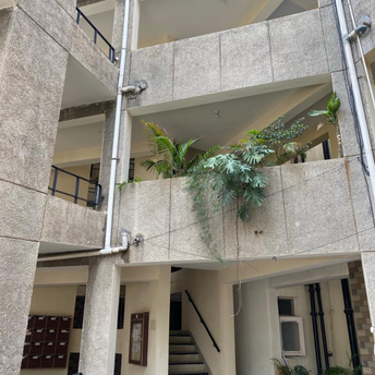 3 BHK Apartment For Resale in Manimajra Chandigarh  6907704