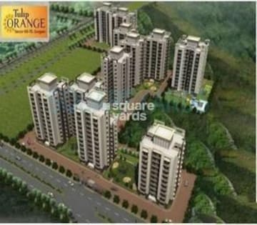 3 BHK Apartment For Resale in Tulip Orange Sector 70 Gurgaon  6909102