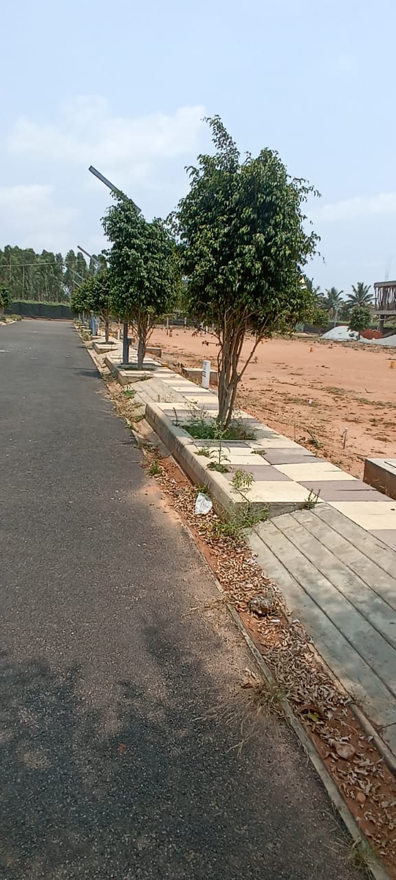 Plot For Resale in JR Coco Nest Marsur Bangalore  6909212