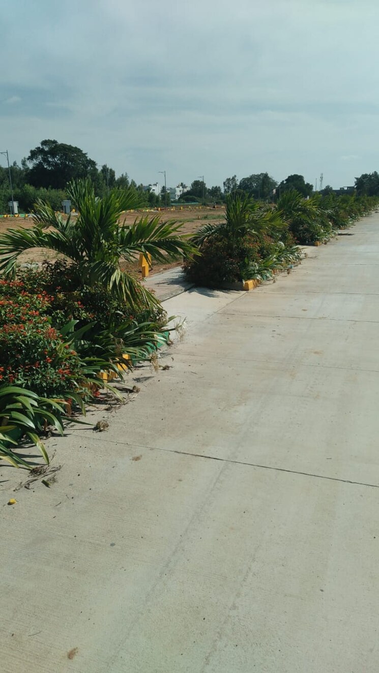 Exterior View, brinda-imperial  1200 Sq.Ft. Plot In Jigani Bangalore 6909952