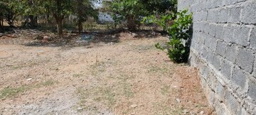 Plot For Resale in Keesara Hyderabad  6909944