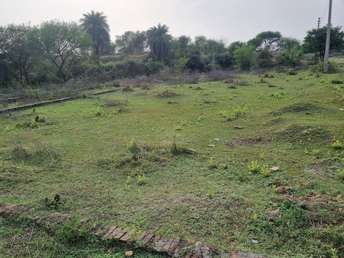 Plot For Resale in Tonk Road Jaipur  6911229