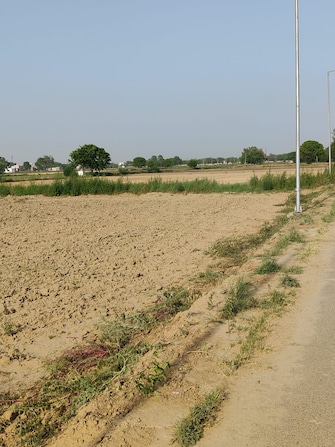 Plot For Resale in Lakhnaula Gurgaon  6911445