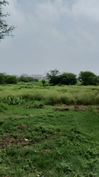 Commercial Industrial Plot 100 Sq.Yd. For Resale in Dera Bassi Mohali  6913175