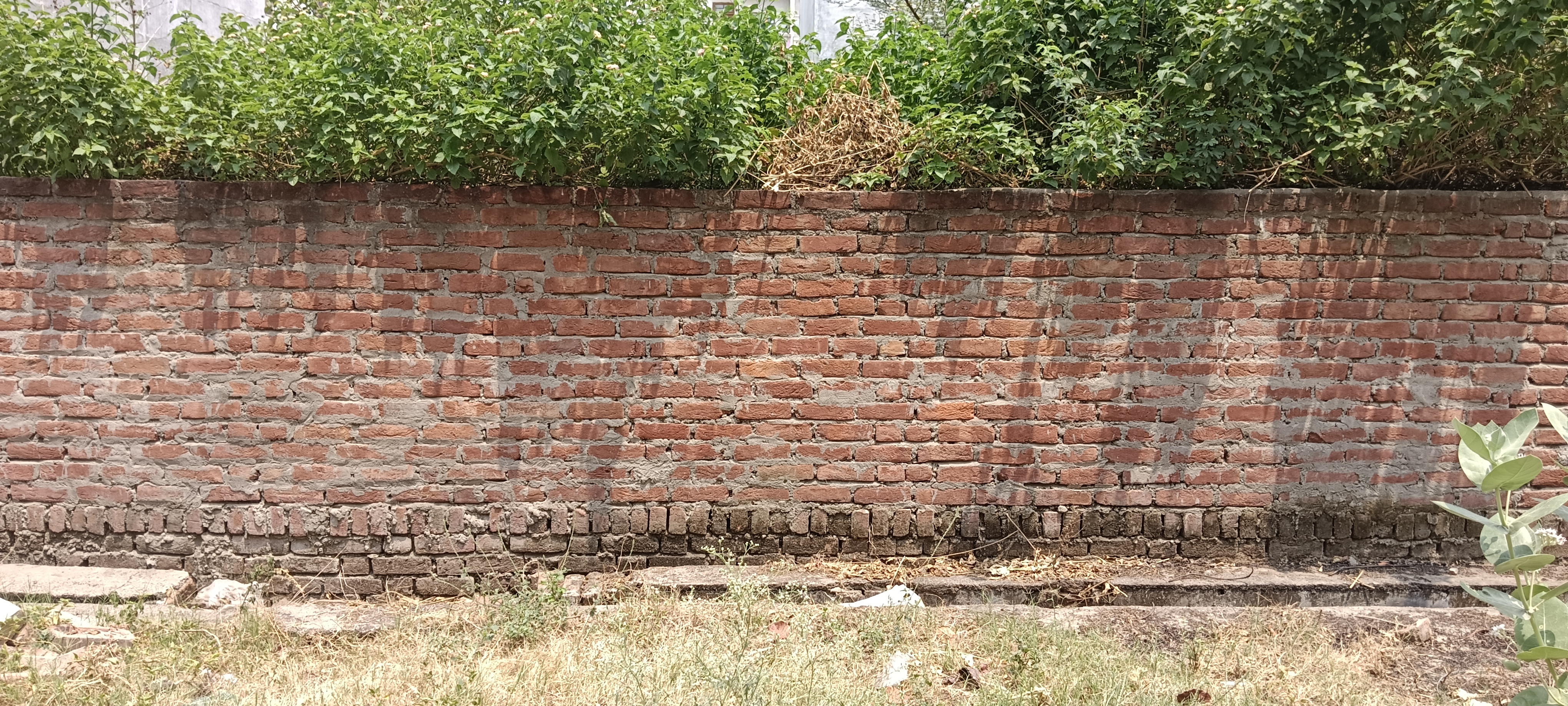 Resale 2152 Sq.Ft. Plot in Ratan Khand Lucknow 6916341