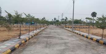 Plot For Resale in Zamistanpur Hyderabad  6916710