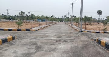 Plot For Resale in Ashok Nagar Hyderabad  6916716