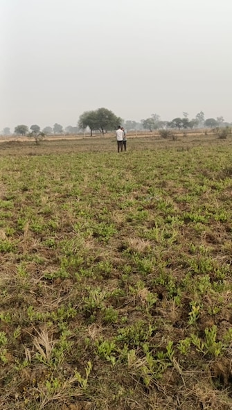 Plot For Resale in Amleshwar Raipur  6917635