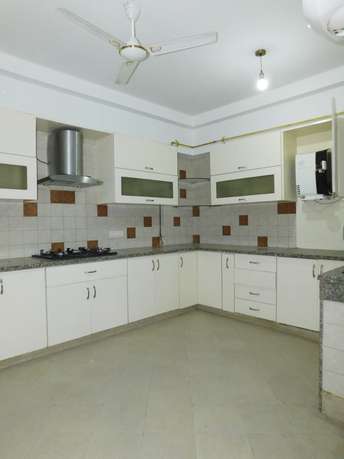 4 BHK Builder Floor For Rent in RWA Green Park Extension Green Park Delhi 6917917