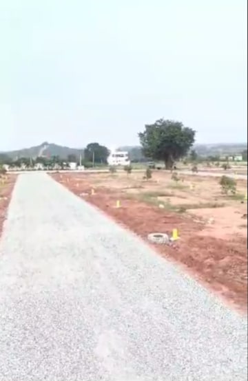 Plot For Resale in Harichandana Mayfair Villas Shadnagar Hyderabad  6919209