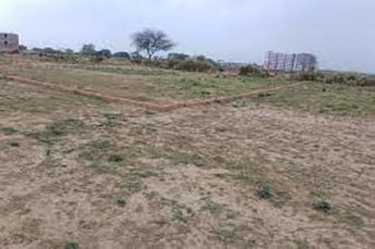 Plot For Resale in Sector 12 Panchkula Panchkula  6920449