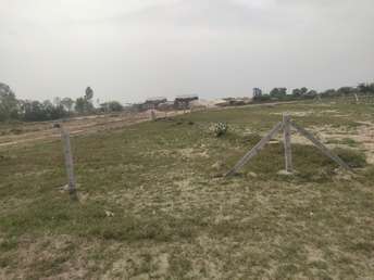 Plot For Resale in Yamuna Expressway Greater Noida  6920969