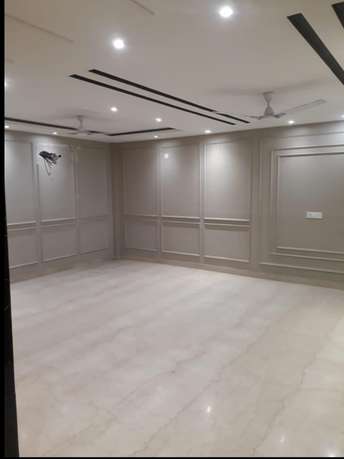 3.5 BHK Builder Floor For Rent in RWA Block A6 Paschim Vihar Paschim Vihar Delhi 6921245