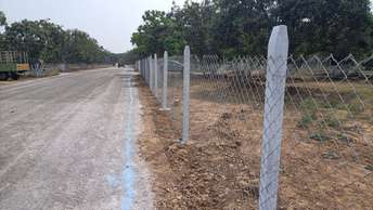 Plot For Resale in Sector 11 Noida  6922480