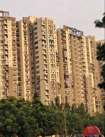3 BHK Apartment For Rent in Paramount Floraville Sector 137 Noida  6923877