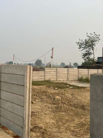 Plot For Resale in Sector 11 Noida  6924541