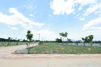 Plot For Resale in Sector 11 Noida  6925124