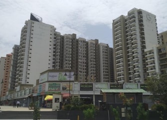 3 BHK Apartment For Resale in Gulshan Ikebana Sector 143 Noida  6927174