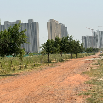 Plot For Resale in Greater Noida West Greater Noida  6928083