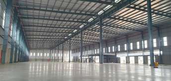 Commercial Warehouse 80000 Sq.Ft. For Rent in Hapur Road Ghaziabad  6928295