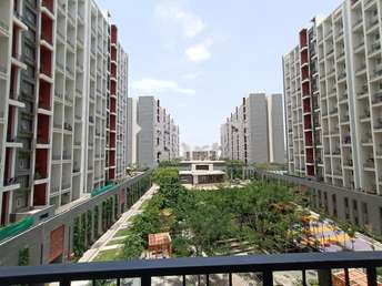 3 BHK Apartment For Rent in Godrej Elements Hinjewadi Pune  6928323