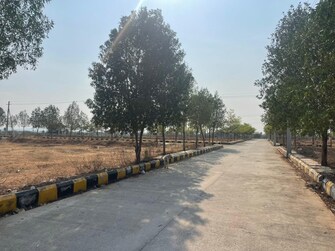 Plot For Resale in Faizabad Road Lucknow  6930664