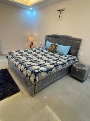 2 BHK Builder Floor For Rent in Dlf City Phase 3 Gurgaon 6930363