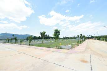  Plot For Resale in Sector 11 Noida 6931560