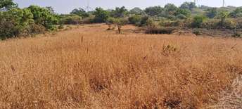  Plot For Resale in Panchgani Satara 6932065