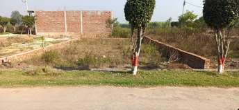 Plot For Resale in Sector 111 Gurgaon  6933604