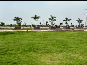  Plot For Resale in Sector 33 Sonipat 6934319