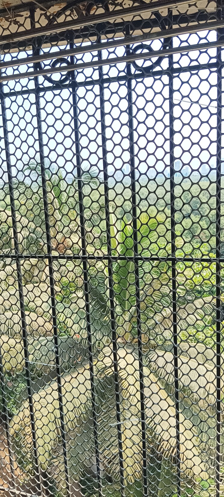 Master Bedroom, mercury-apartment 3 Bedroom 930 Sq.Ft. Apartment In Mira Road Thane 6934999