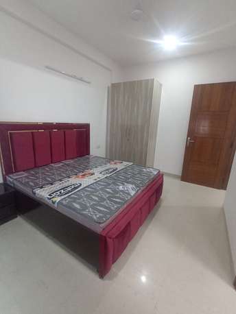 1 BHK Builder Floor For Rent in Sector 45 Gurgaon 6935186
