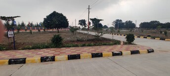 Plot For Resale in Vijayawada Highway Hyderabad  6935355