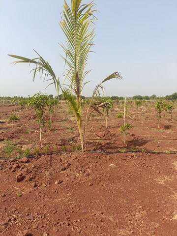  Plot For Sale in Shankarpalli