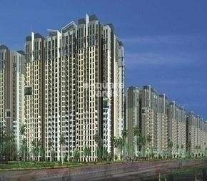 2 BHK Apartment For Rent in Amrapali Golf Homes Sector 4, Greater Noida Greater Noida  6937749