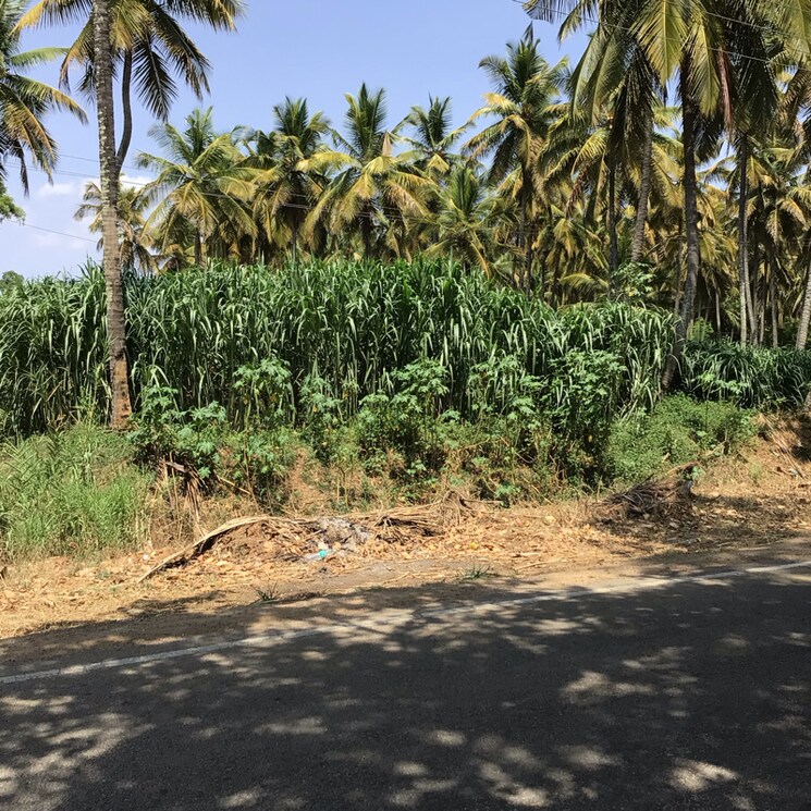 Resale 15 Acre Plot in Mysore Road Bangalore - 6938005