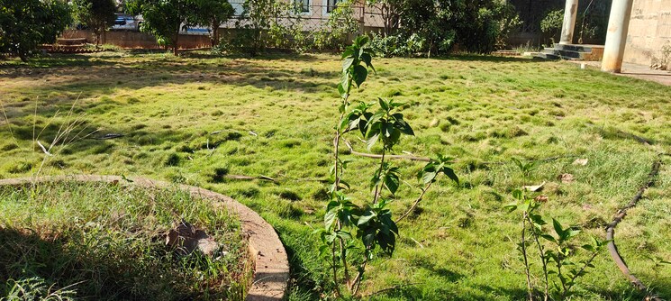 Garden, cosmos-hawaiian-village 4 Bedroom 12000 Sq.Ft. Villa In Ghodbunder Road Thane 6938872