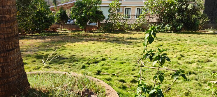 Garden, cosmos-hawaiian-village 4 Bedroom 12000 Sq.Ft. Villa In Ghodbunder Road Thane 6938872