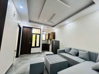 1 BHK Apartment For Rent in Ignou Road Delhi  6939847