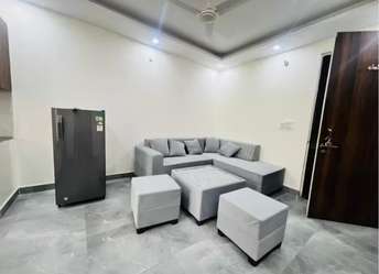 1.5 BHK Builder Floor For Rent in RWA Block A6 Paschim Vihar Paschim Vihar Delhi 6941190