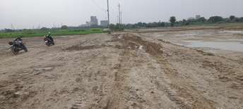 Plot For Resale in BPTP Astaire Gardens Pedestal Floors Sector 70a Gurgaon  6941482