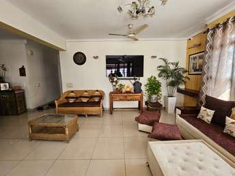 5 BHK Penthouse For Resale in Vipul Orchid Gardens Sector 54 Gurgaon 6942392