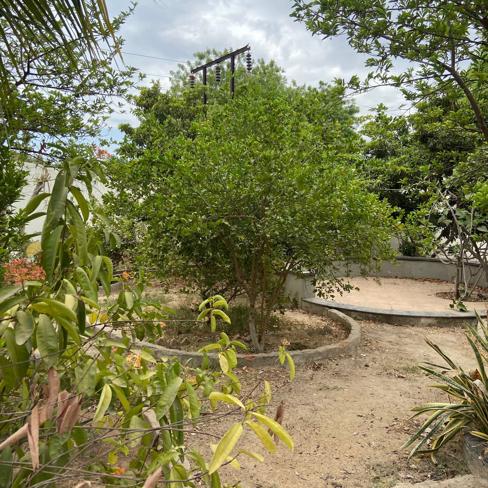 Resale 1582 Sq.Yd. Plot in Science City Ahmedabad 7612813