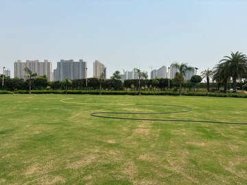  Plot For Sale in Sector 150