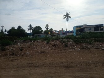 Plot For Resale in Pallavaram Chennai  6943441