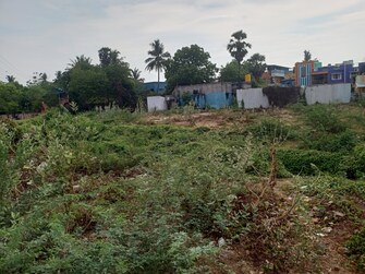 Plot For Resale in Pallavaram Chennai  6943441