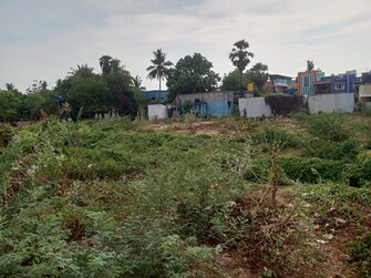 Plot For Resale in Pallavaram Chennai  6943441