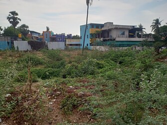 Plot For Resale in Pallavaram Chennai  6943441